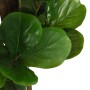 Higuera de hojas de violín artificial 180 hojas verde 150 cm de , Flora artificial - Ref: Foro24-359013, Precio: 96,79 €, Des...