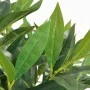 Artificial laurel tree with pot 125 cm green by , artificial flora - Ref: Foro24-244452, Price: 55,35 €, Discount: %