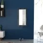 Espejo de pared estilo barroco 100x50 cm negro de vidaXL, Espejos - Ref: Foro24-243682, Precio: 79,05 €, Descuento: %