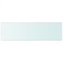 Panel de estante vidrio claro 80x25 cm de vidaXL, Estantes y estanterías - Ref: Foro24-243835, Precio: 20,39 €, Descuento: %