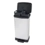 Curver Papelera de pedal doble Deco plateado 23L + 23L de , Contenedores de reciclaje - Ref: Foro24-442065, Precio: 76,05 €, ...