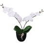Planta artificial orquídea con macetero 30 cm blanca de , Flora artificial - Ref: Foro24-244420, Precio: 15,65 €, Descuento: %