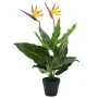 Planta strelitzia reginae ave del paraíso artificial 66 cm de , Flora artificial - Ref: Foro24-245946, Precio: 26,05 €, Descu...