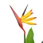 Planta strelitzia reginae ave del paraíso artificial 66 cm de , Flora artificial - Ref: Foro24-245946, Precio: 26,05 €, Descu...