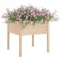 Jardineras 2 uds madera maciza de pino 70x70x70 cm de , Maceteros y jardineras - Ref: Foro24-810810, Precio: 98,95 €, Descuen...