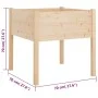 Jardineras 2 uds madera maciza de pino 70x70x70 cm de , Maceteros y jardineras - Ref: Foro24-810810, Precio: 98,95 €, Descuen...