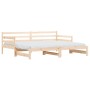 Sofá cama nido madera maciza de pino 80x200 cm de , Camas y somieres - Ref: Foro24-836150, Precio: 188,40 €, Descuento: %