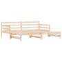 Sofá cama nido madera maciza de pino 80x200 cm de , Camas y somieres - Ref: Foro24-836150, Precio: 188,40 €, Descuento: %