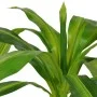 Planta de drácena artificial con maceta 100 cm verde de vidaXL, Flora artificial - Ref: Foro24-244451, Precio: 52,93 €, Descu...