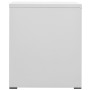 Armario archivador de acero gris 46x62x72,5 cm de vidaXL, Armarios archivadores - Ref: Foro24-336271, Precio: 156,79 €, Descu...