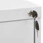Armario archivador de acero gris 46x62x72,5 cm de vidaXL, Armarios archivadores - Ref: Foro24-336271, Precio: 156,79 €, Descu...