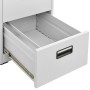 Armario archivador de acero gris 46x62x72,5 cm de vidaXL, Armarios archivadores - Ref: Foro24-336271, Precio: 156,79 €, Descu...