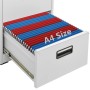 Armario archivador de acero gris 46x62x72,5 cm de vidaXL, Armarios archivadores - Ref: Foro24-336271, Precio: 156,79 €, Descu...