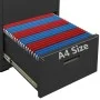 Anthracite steel filing cabinet 46x62x72.5 cm by vidaXL, Filing cabinets - Ref: Foro24-336273, Price: 130,73 €, Discount: %