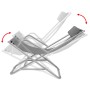 Tumbonas reclinables 2 unidades acero gris de vidaXL, Tumbonas - Ref: Foro24-42938, Precio: 164,39 €, Descuento: %