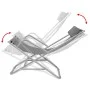 Tumbonas reclinables 2 unidades acero gris de vidaXL, Tumbonas - Ref: Foro24-42938, Precio: 149,50 €, Descuento: %