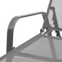 Tumbona de acero gris antracita de vidaXL, Tumbonas - Ref: Foro24-42725, Precio: 158,80 €, Descuento: %