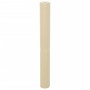 Cubierta para plantas 70 g/m² 10x1,6 m de , Accesorios de jardinería - Ref: Foro24-364859, Precio: 18,91 €, Descuento: %