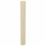 Cubierta para plantas 70 g/m² 10x1,6 m de , Accesorios de jardinería - Ref: Foro24-364859, Precio: 18,62 €, Descuento: %