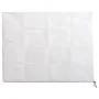 Cubierta para plantas con cremallera 70 g/m² 3,93x3 m de , Accesorios de jardinería - Ref: Foro24-364871, Precio: 31,05 €, De...