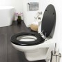 Tiger Asiento de WC de cierre suave Blackwash MDF negro 252030746 de Tiger, Asientos de inodoros y bidés - Ref: Foro24-418328...