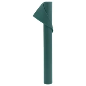 Cubierta para plantas 70 g/m² 10x1,6 m de , Accesorios de jardinería - Ref: Foro24-364861, Precio: 19,60 €, Descuento: %