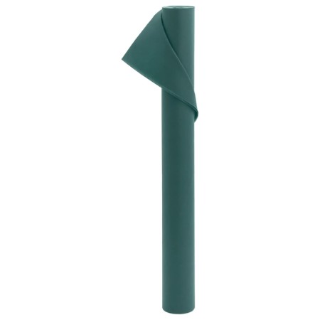 Cubierta para plantas 70 g/m² 10x1,6 m de , Accesorios de jardinería - Ref: Foro24-364861, Precio: 18,91 €, Descuento: %