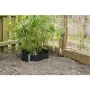 Nature Lona protectora de raíces HDPE negro 0,7x3 m de Nature, Accesorios de jardinería - Ref: Foro24-403652, Precio: 45,62 €...