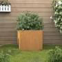 Jardinera de acero corten 32x30x29 cm de , Maceteros y jardineras - Ref: Foro24-821547, Precio: 35,13 €, Descuento: %
