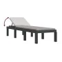 Tumbona con cojines PP gris antracita de , Tumbonas - Ref: Foro24-364723, Precio: 159,73 €, Descuento: %