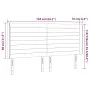 Dunkelgraues Stoffkopfteil mit LED 163x16x118/128 cm von , Kopf- und Fußteile - Ref: Foro24-3124195, Preis: 120,02 €, Rabatt: %