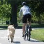 PetEgo Correa universal para bicicleta para perros Cycleash 85 cm de PetEgo, Correas para mascotas - Ref: Foro24-411436, Prec...