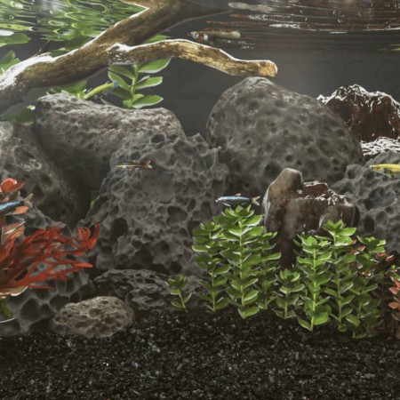 Rocas volcánicas negras 10 kg 10-30 cm de , Decoración de acuarios - Ref: Foro24-155325, Precio: 39,33 €, Descuento: %