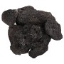 Rocas volcánicas negras 10 kg 10-30 cm de , Decoración de acuarios - Ref: Foro24-155325, Precio: 39,33 €, Descuento: %