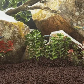 Red volcanic rocks 10 kg 1-2 cm by , Aquarium decoration - Ref: Foro24-155311, Price: 41,10 €, Discount: %