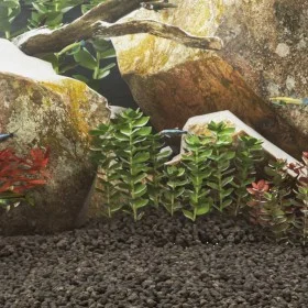Black volcanic rocks 10 kg 1-2 cm by , Aquarium decoration - Ref: Foro24-155318, Price: 70,56 €, Discount: %