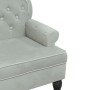 Banco con respaldo terciopelo gris claro 119,5x64,5x75 cm de , Bancos - Ref: Foro24-372156, Precio: 171,75 €, Descuento: %