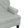 Banco con respaldo terciopelo gris claro 119,5x64,5x75 cm de , Bancos - Ref: Foro24-372156, Precio: 166,87 €, Descuento: %
