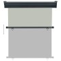 Toldo lateral de balcón gris 140x250 cm de , Sombrillas - Ref: Foro24-48428, Precio: 70,05 €, Descuento: %