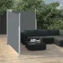 Toldo lateral retráctil gris antracita 140x600 cm de , Sombrillas - Ref: Foro24-48456, Precio: 120,13 €, Descuento: %