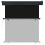 Toldo lateral de balcón negro 160x250 cm de , Sombrillas - Ref: Foro24-48430, Precio: 64,98 €, Descuento: %