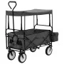 Carrito de mano plegable con capota acero gris de , Carretillas de carga - Ref: Foro24-145512, Precio: 112,94 €, Descuento: %