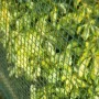 Nature Green Garden Screening Square Mesh 5x5 mm 1x3 m by Nature, fence panels - Ref: Foro24-419764, Price: 39,41 €, Discount: %