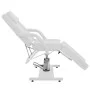 Sillón de salón de belleza cuero sintético blanco 180x62x78 cm de , Sillones de masaje - Ref: Foro24-110267, Precio: 426,68 €...
