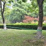 Slackline 15 m x 50 mm 150 kg Verde de vidaXL, Material para entrenar el equilibrio - Ref: Foro24-142666, Precio: 30,56 €, De...