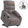 Sillón reclinable elevable tela gris taupe en Sillones | Comprar online en Foru.es