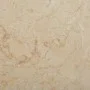 Tablero para mesa mármol color crema Ø50x2,5 cm de , Tableros para mesas - Ref: Foro24-149192, Precio: 114,82 €, Descuento: %
