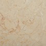 Tablero para mesa mármol color crema Ø50x2,5 cm de , Tableros para mesas - Ref: Foro24-149192, Precio: 112,55 €, Descuento: %