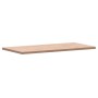 Tablero rectangular de madera maciza de haya 100x50x2,5 cm de , Tableros para mesas - Ref: Foro24-3188883, Precio: 81,87 €, D...