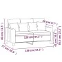 Sofá de 2 plazas de tela gris claro 120 cm de , Sofás - Ref: Foro24-359259, Precio: 233,77 €, Descuento: %